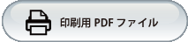 ����pPDF�t�@�C��
